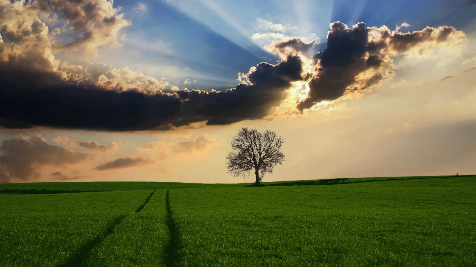 新的域名、新的主题、重新出发